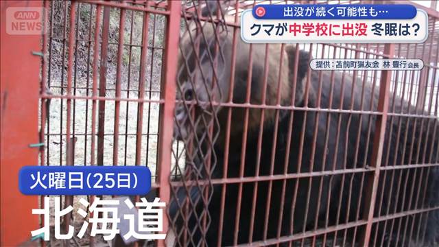 クマが中学校に出没 冬眠は？ 出没が続く可能性も…  山形や岩手で目撃