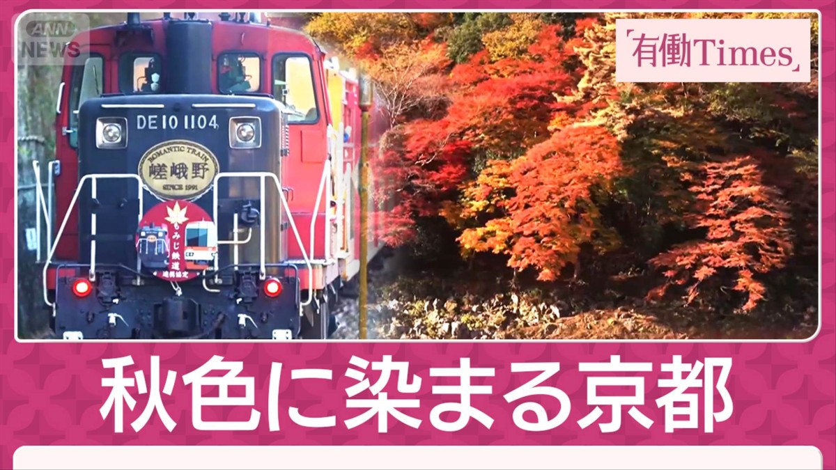 紅葉の嵐山 トロッコ列車で巡る京の都 秋色の渓谷 絶景ライトアップに乗客も歓喜