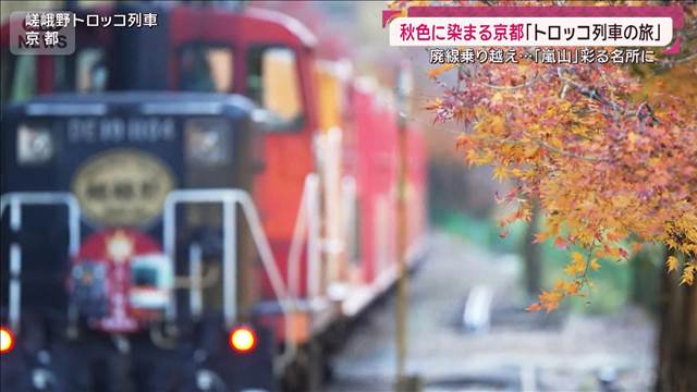 紅葉の嵐山 トロッコ列車で巡る京の都 秋色の渓谷 絶景ライトアップに乗客も歓喜