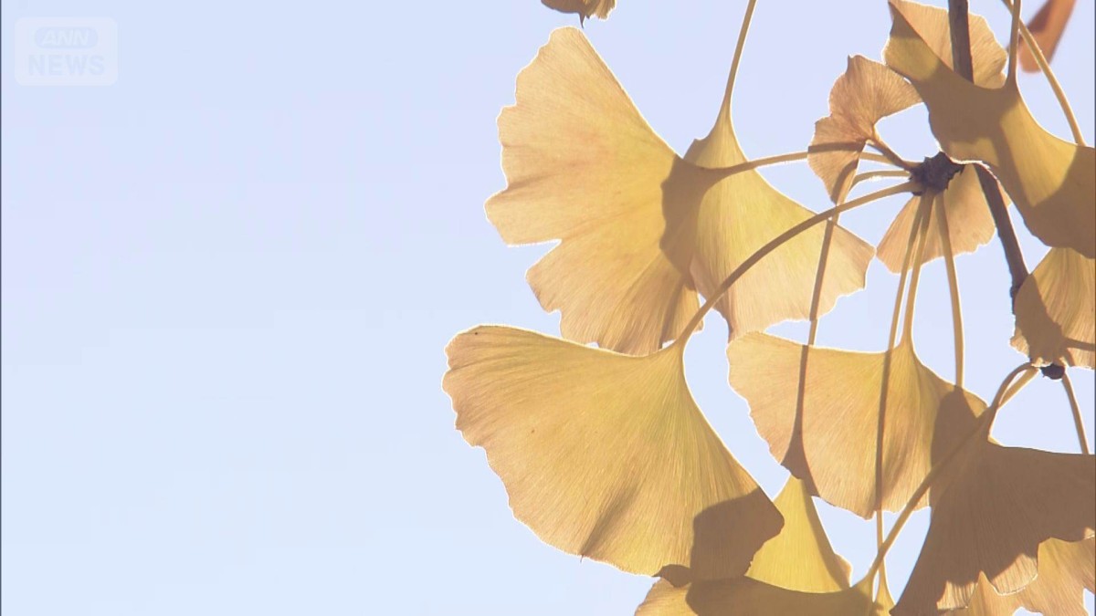 東京で2週間ぶり20℃以上の暖かさ　北海道は暴風に警戒