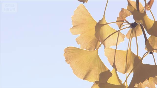 東京　2週間ぶりに20℃以上の暖かさ　北海道は暴風に警戒