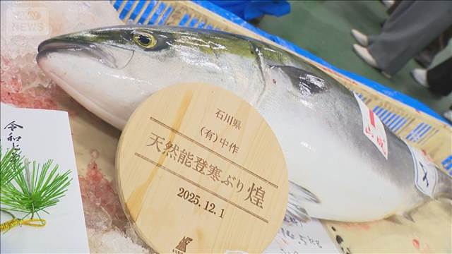 初競りで1匹400万円　最高級の寒ブリ「煌」　石川・能登町で水揚げ