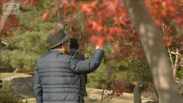日本海側で雷雨、突風注意　あすから強烈寒気で大雪に