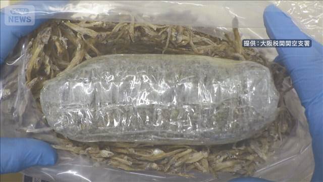 “関空最多”大麻31kgを押収　エビの干物に紛れ込ませる