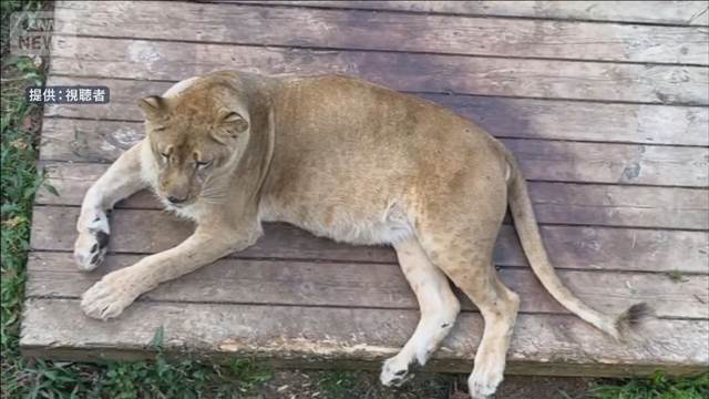 札幌市 ノースサファリサッポロ　東京の投資会社が支援申し出「動物救いたい」