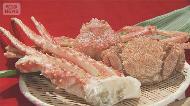 ふるさと納税で政府・与党　控除額に上限を設ける方向で検討