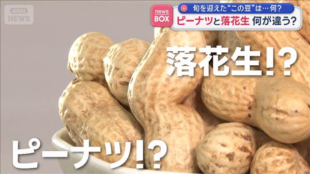 ピーナツと落花生　何が違う？　旬を迎えた“この豆”は…何？