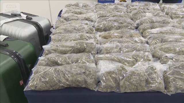 関西空港で大麻31キロ押収　末端価格1億5500万円　開港以来最大の量　関東在住の2人