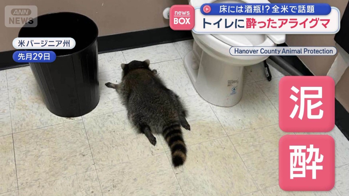 床には酒瓶！？全米で話題 トイレに酔ったアライグマ
