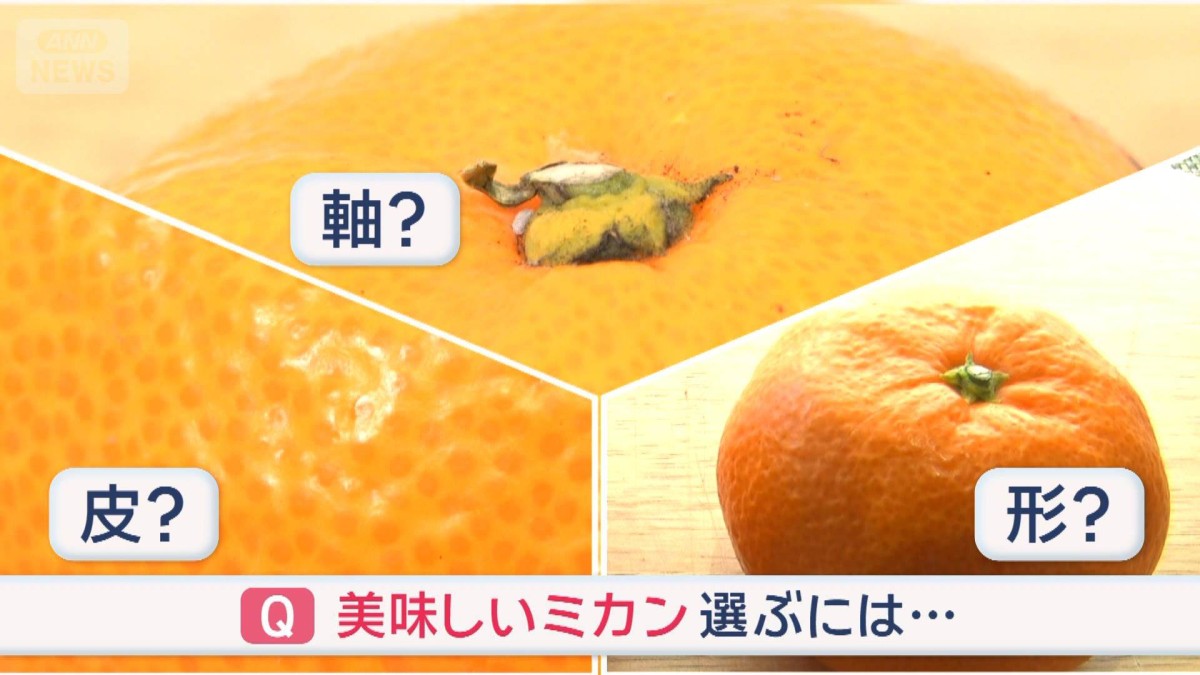 みかん☆さま確認ページ♡ 一気に冷え込みましたね❄️🥶 先日､#木村拓哉 さんからミカン🍊の