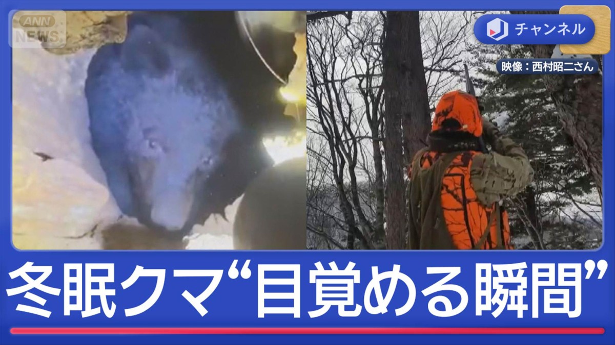 “新世代クマ”人里付近で冬眠も「目が覚めて床をかえる」