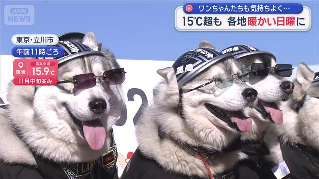 15℃超も！各地暖かい日曜日に　ワンちゃんたちも気持ちよく…