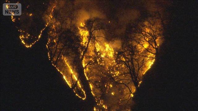 群馬・妙義山で山火事　自衛隊に派遣要請　8ヘクタール焼け今も延焼中