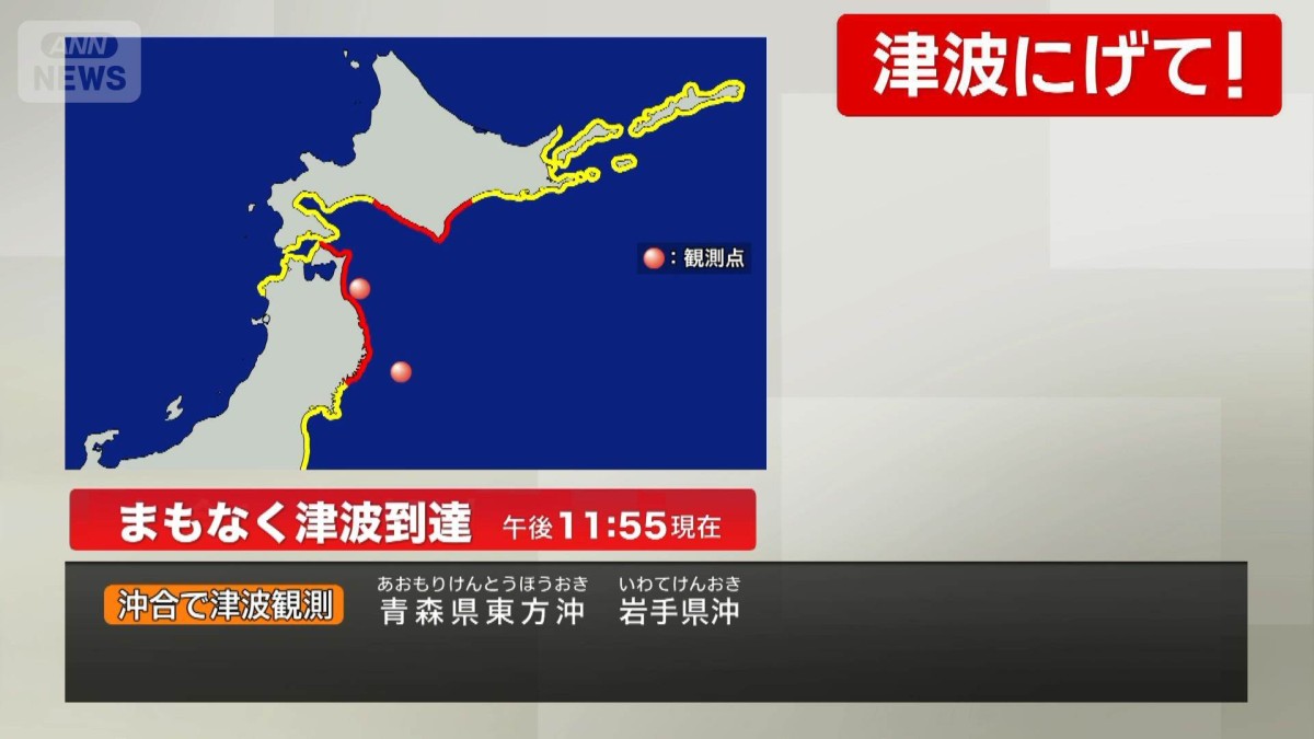 岩手県沖で津波観測 まもなく津波到達（午後11：55現在）
