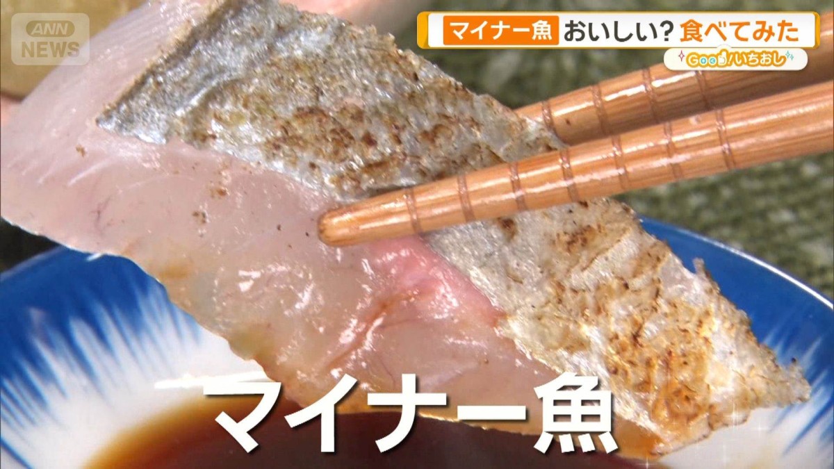 リュウグウノツカイ 美味しい