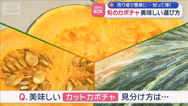 旬の美味しいカボチャは種を見ましょう！売り場で簡単にできる選び方