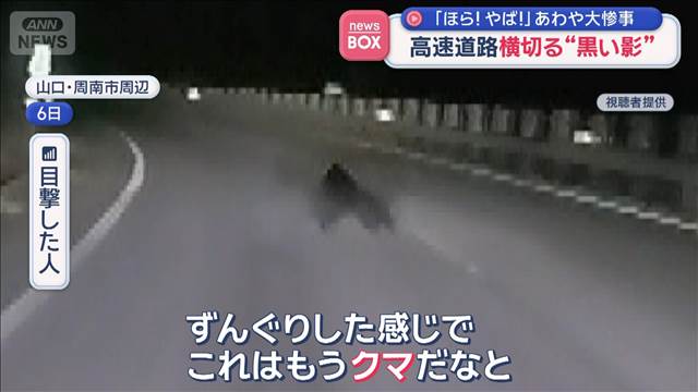 夜の高速道路を横切る“黒い影”「これはもうクマだな」あわや大惨事