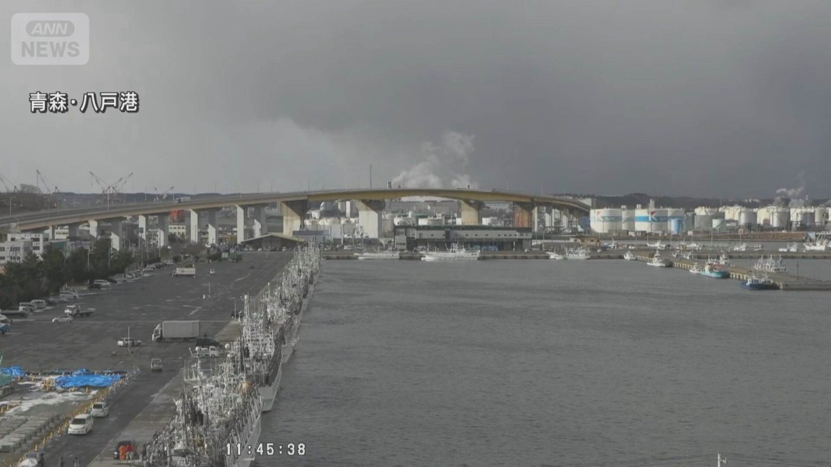 青森・八戸港で20センチの津波観測(午後0時38分)