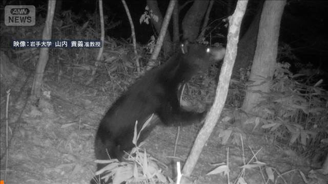 クマ出没　リスク意識高まる「企業活動に影響」400社超