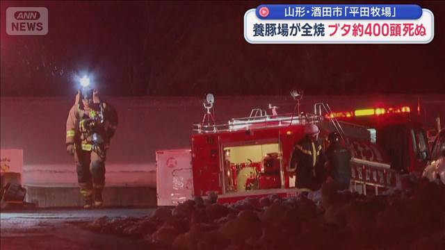 養豚場が全焼 ブタ約400頭死ぬ　山形・酒田市「平田牧場」