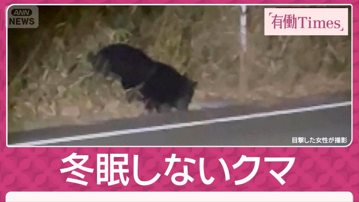 独自証言）一心不乱に…「鹿食い」クマが通学路に出没「クマと目が合う」恐怖の3分間