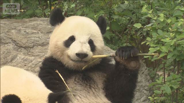 「パンダ通じた交流の継続を期待」木原長官