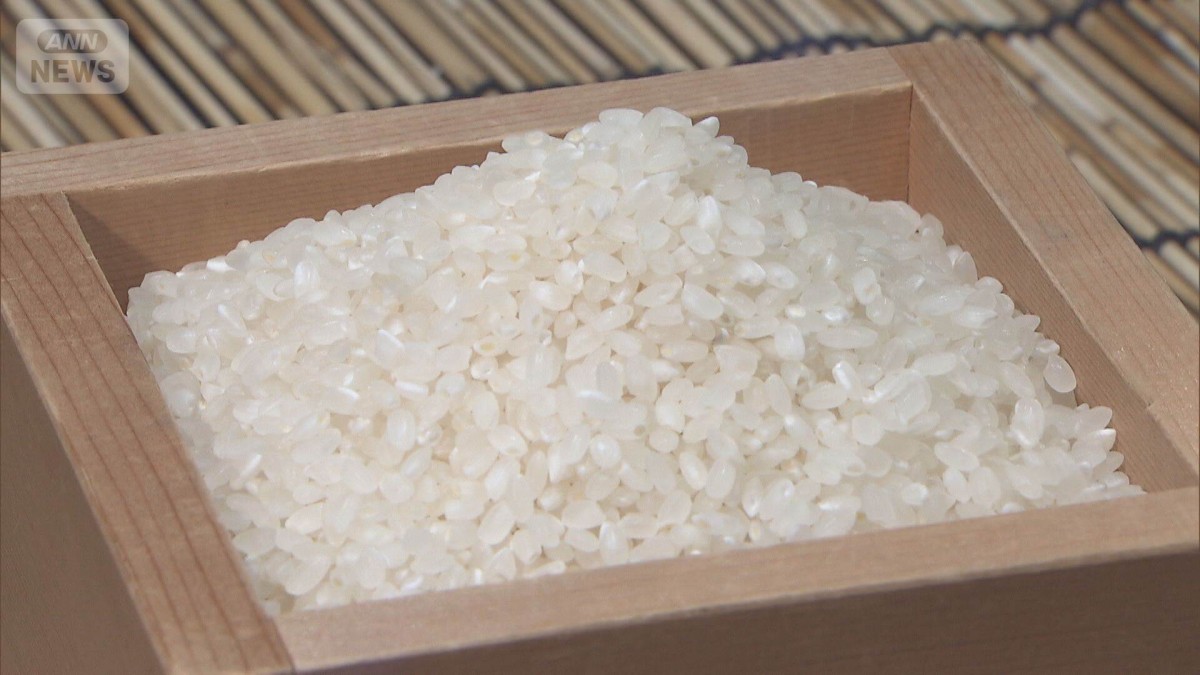 11月のコメ相対取引価格　4カ月ぶり値下がり　下落銘柄増＆需給緩和見通しが要因か