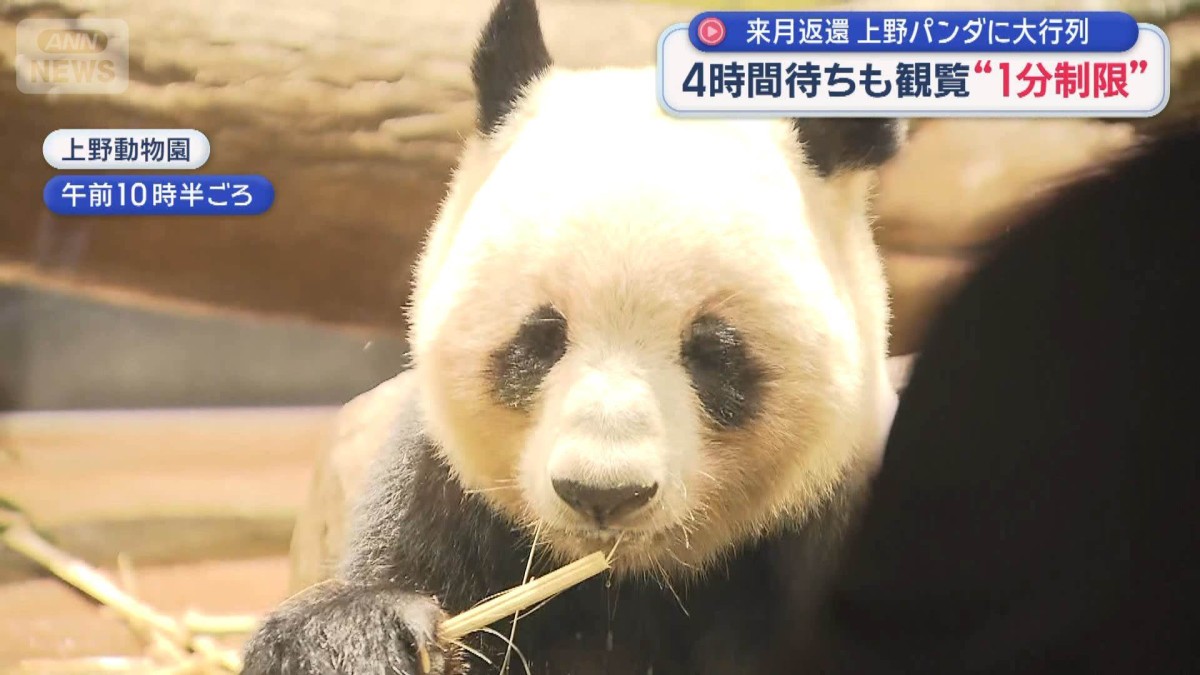 来月返還 上野のパンダに大行列　4時間待ちも観覧“1分制限”