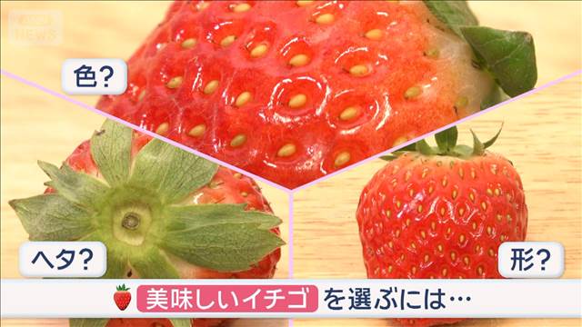 旬のイチゴ 美味しい選び方　年末も大人気…知って得する