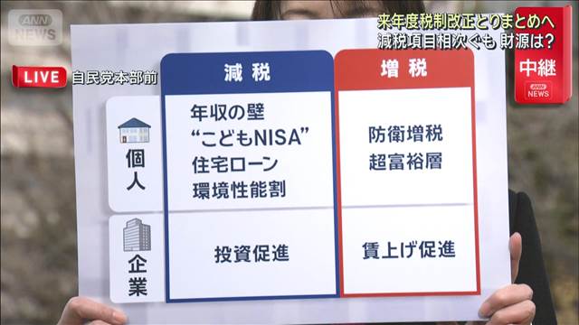 “年収の壁”引き上げなど 来年度税制改正とりまとめへ　減税項目相次ぐも財源は？