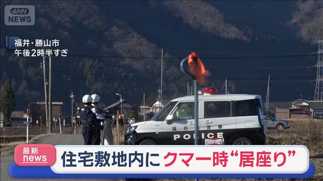 住宅敷地内にクマが一時“居座り” 福井・勝山市