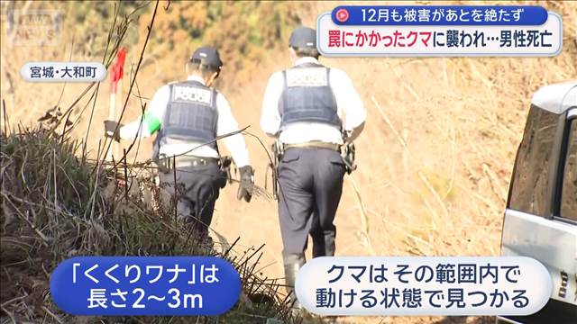 12月も被害があとを絶たず　罠にかかったクマに襲われ…男性死亡　宮城・大和町
