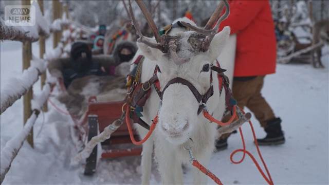 サンタ故郷のトナカイ危機　ウクライナ戦争余波　ロシア猟師徴兵でオオカミ越境