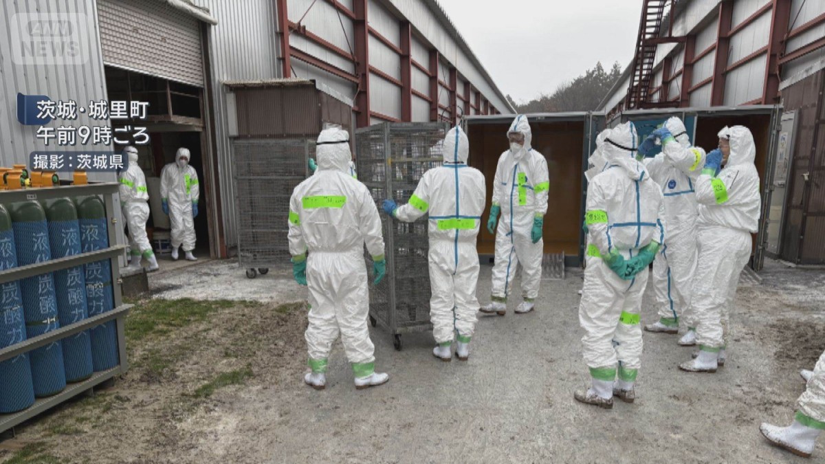 養鶏場の97万羽殺処分へ 茨城・城里町で鳥インフル