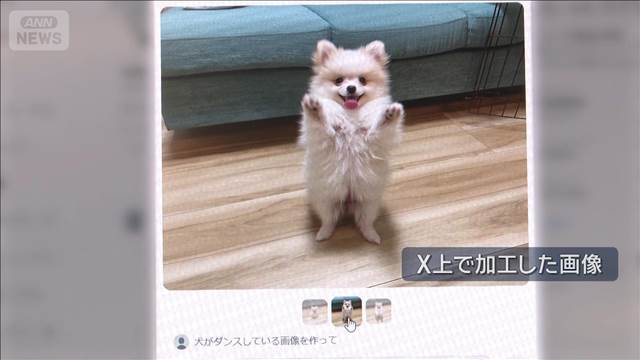 Xに新機能 投稿画像を他人が加工可能に　SNSには悪用リスクを懸念するコメント相次ぐ