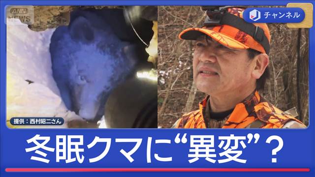 穴撃ち猟のマタギに密着　冬眠クマに“異変”？