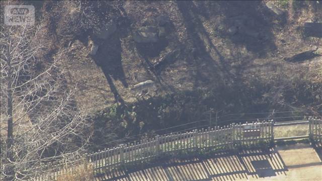 【速報】多摩動物公園で脱走のオオカミ　午後2時20分に園内で発見・捕獲　けが人なし