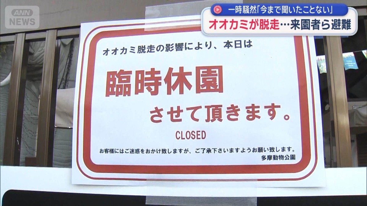 オオカミが脱走…来園者ら避難　一時騒然「今まで聞いたことない」