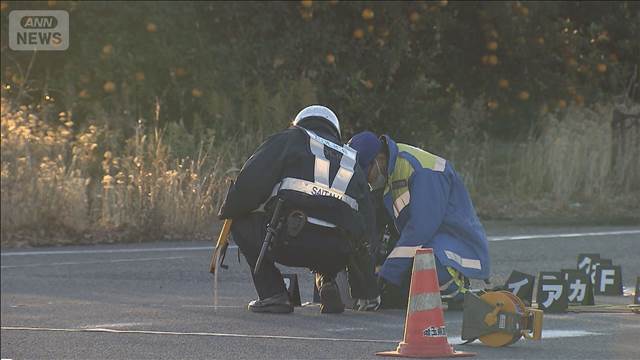 死亡ひき逃げ事件で28歳男逮捕　「事故は起こしていないし逃げていない」容疑否認