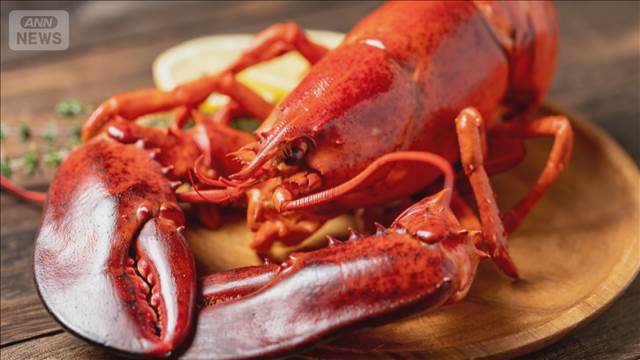 ロブスター、生きたままゆでる調理法を禁止　動物愛護で英政府検討　飲食業界は反発