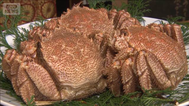 “年末”毛ガニは…色？毛？大きさ？　美味しい“カニ”見分ける方法