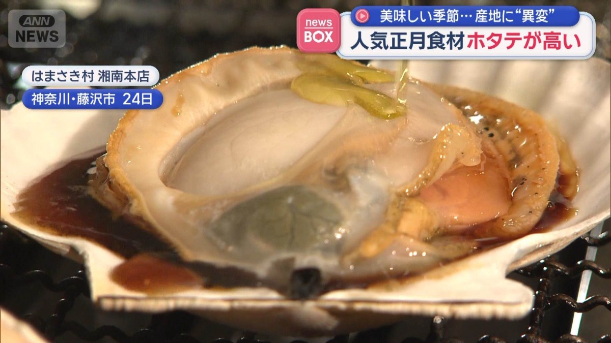 ホタテが高い 人気正月食材　美味しい季節…産地に“異変”
