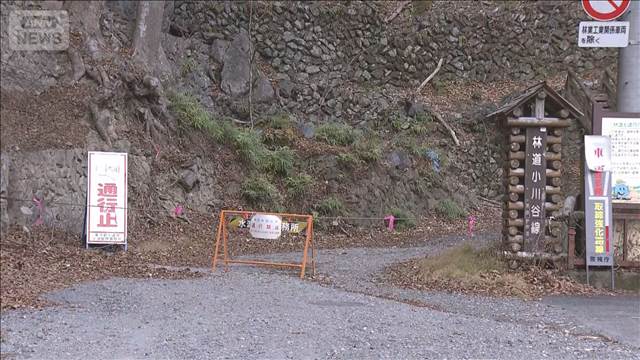 東京・奥多摩町の林道に男性とみられる遺体　動物に食べられた可能性も