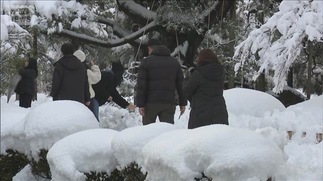 “強烈寒波”日本海側で積雪増加 平年の8倍も　交通障害に注意
