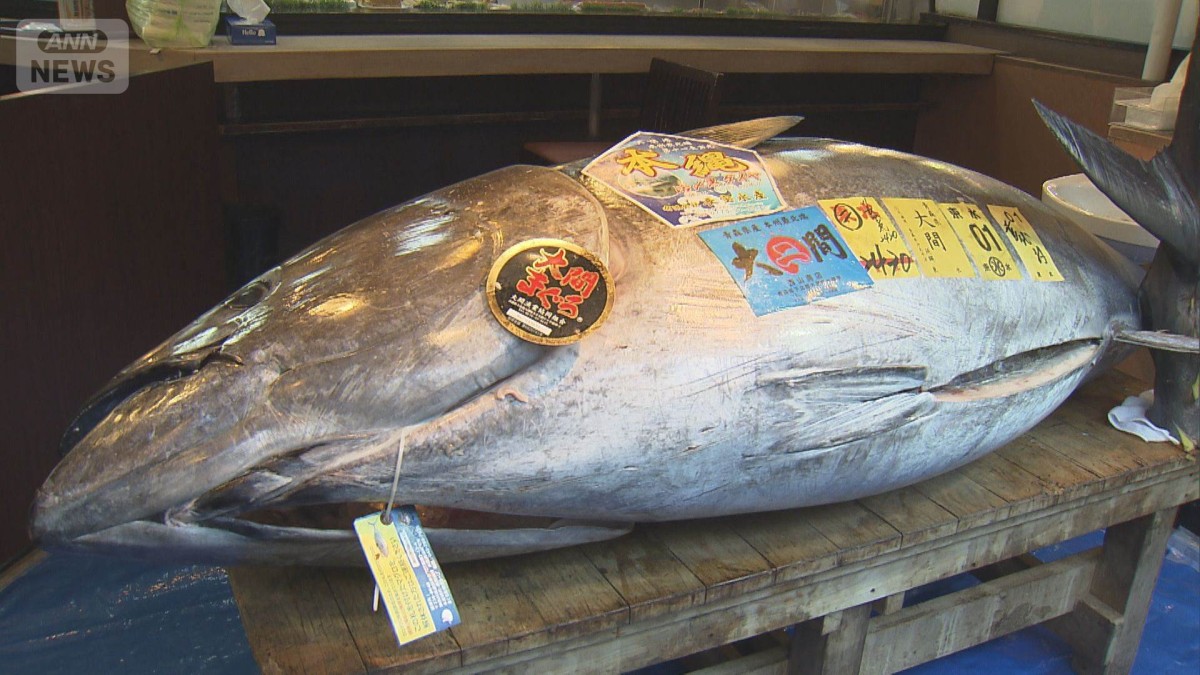 史上最高値の一番マグロが店頭に飾られる　「5億円はびっくり」「見られてよかった」