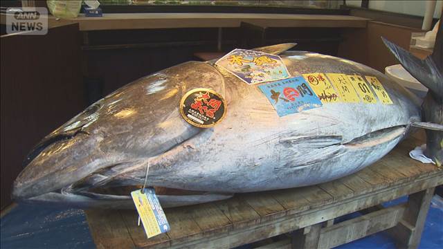 史上最高値の一番マグロが店頭に飾られる　「5億円はびっくり」「見られてよかった」