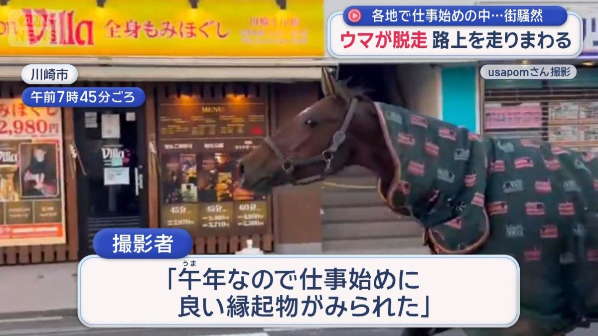 ウマが脱走　路上を走りまわる　各地で仕事始めの中…街騒然