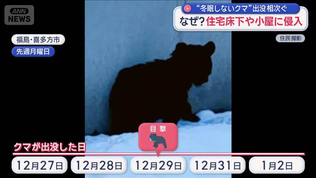 “冬眠しないクマ”出没相次ぐ　なぜ？住宅床下や小屋に侵入