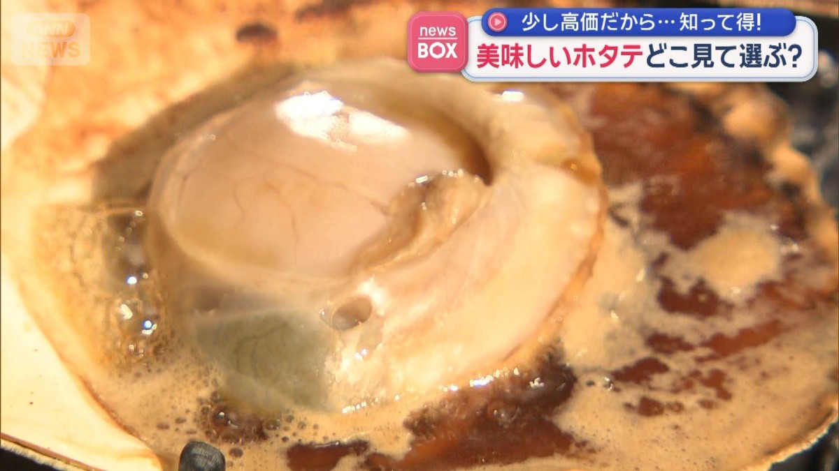 美味しいホタテ見分ける方法　少し高価だから…知って得！