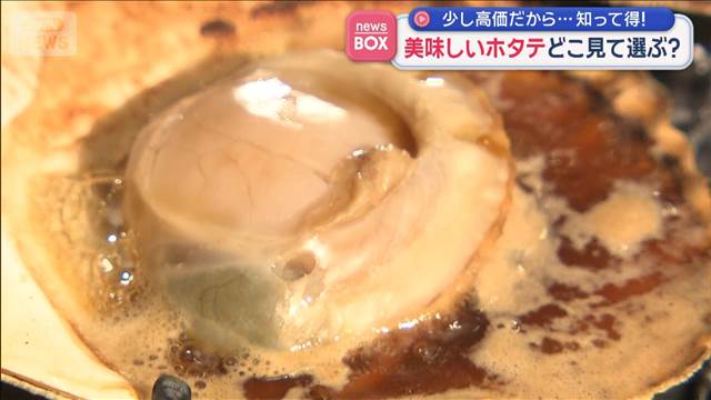 美味しいホタテ見分ける方法　少し高価だから…知って得！